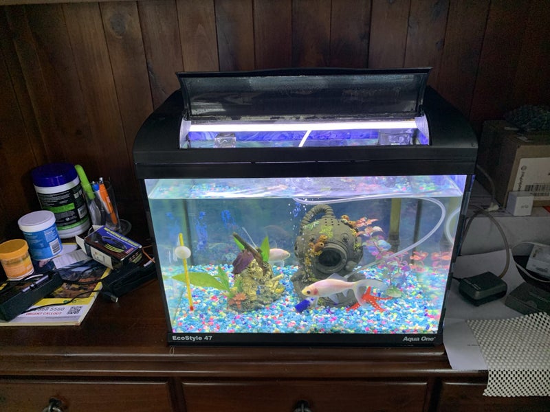 Aqua One Ecostyle 47 Black Aquarium 38l Carousel 2