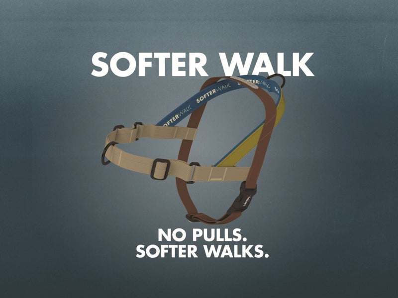 ZEE.DOG SOFTER WALK HARNESS - GOTHAM - LARGE! Carousel 2