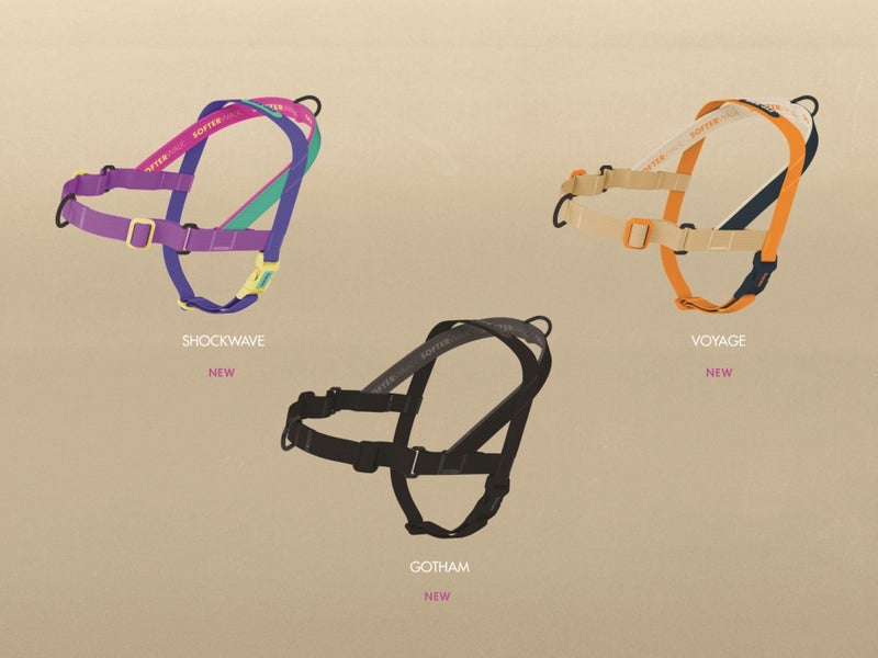 ZEE.DOG SOFTER WALK HARNESS - VOYAGE - MEDIUM! Carousel 2