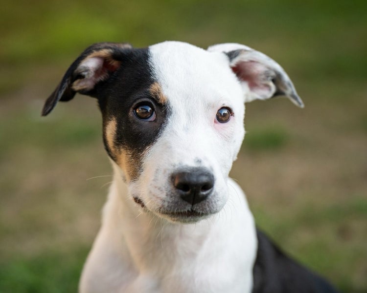 Oreo - Chance 4 Change Carousel 1