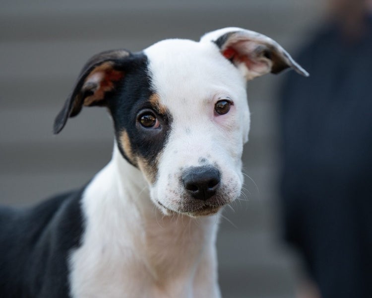 Oreo - Chance 4 Change Carousel 2