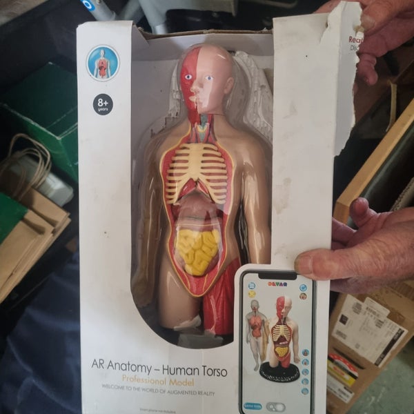 Medical Doll Carousel 1