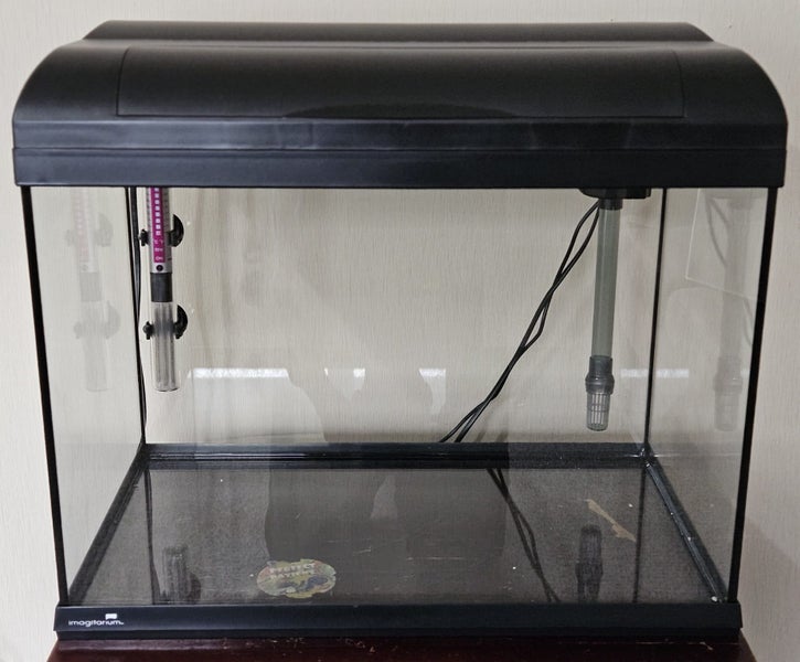 Fish Tank Carousel 1
