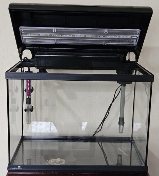 Fish Tank Carousel 2
