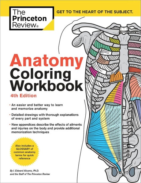 Anatomy Coloring Workbook, 4th Edition by The Princeton Review - Paperback Carousel 1