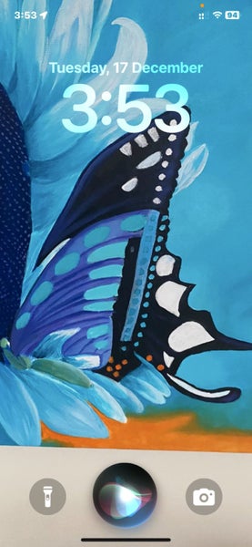 Butterfly Carousel 1
