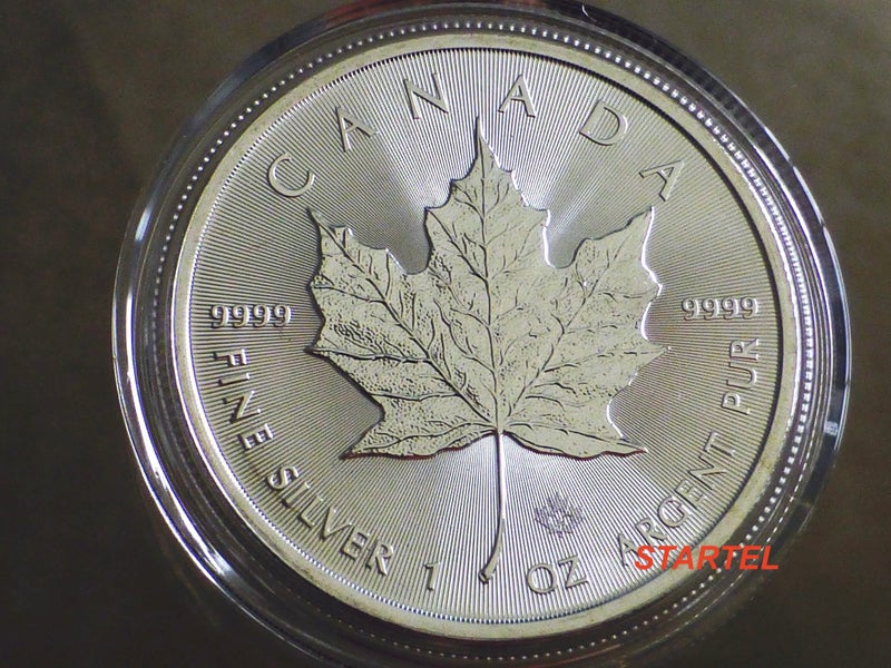 2024 Canadian Maple Leaf 1 Oz silver coin Carousel 1