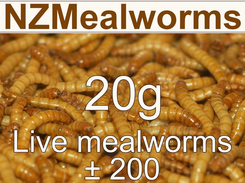 20g Mealworms Carousel 1