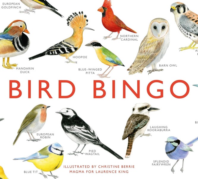 Bird Bingo by Christine Berrie - Cards Carousel 1