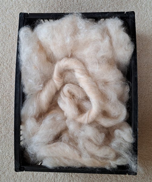Alpaca Fleece/Fibre - Washed & Carded Carousel 1
