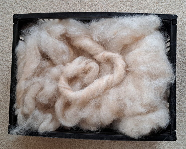 Alpaca Fleece/Fibre - Washed & Carded Carousel 2