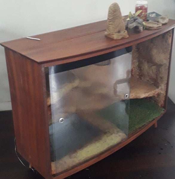 Bearded Dragon Terrarium Carousel 1