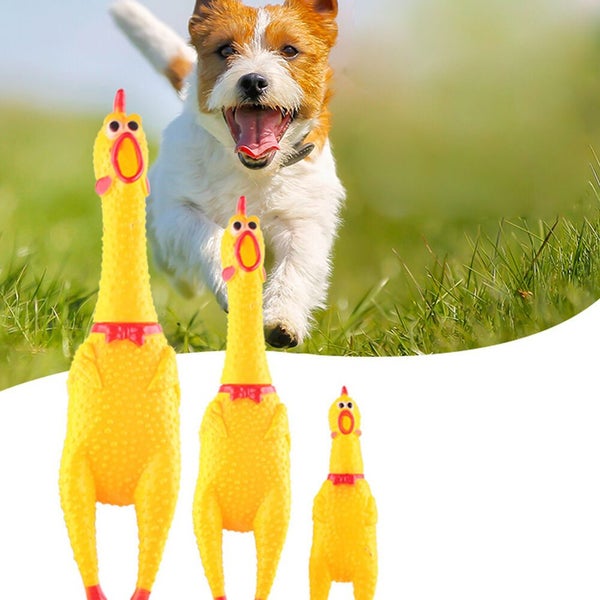 Funny Screaming Chicken Toy Squeaker Shrilling Pet Dog Bite Squeeze Rubber Chew Carousel 2