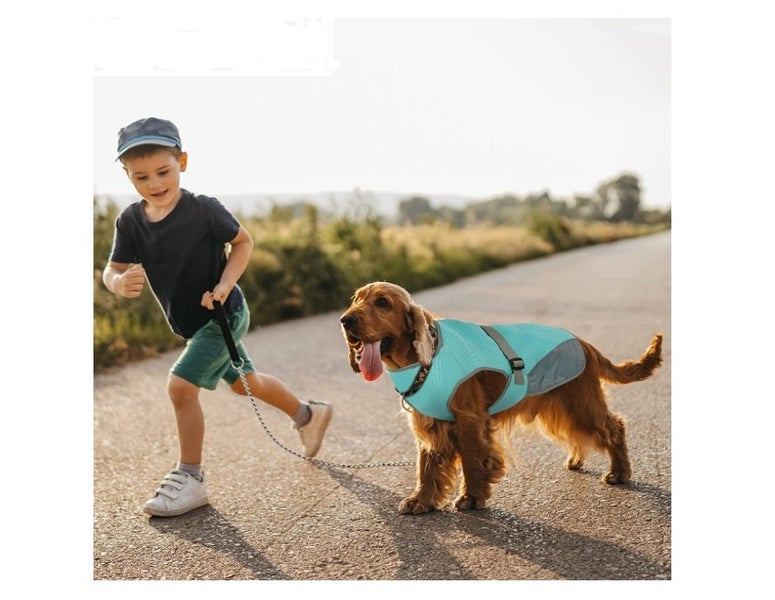 Dog Vest,Dog Cooling Jacket,Pet Cooling Vest--L Carousel 6