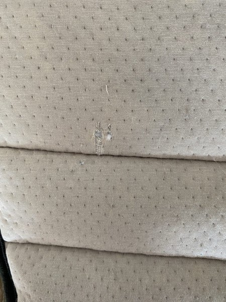 Edwards and co Luxe Liner Carousel 3