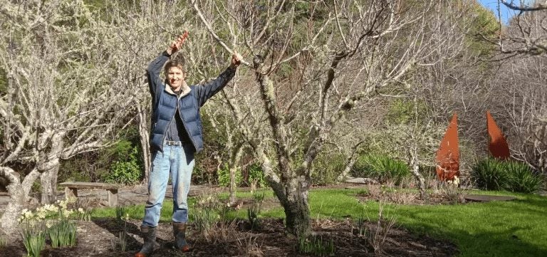 WORKSHOP FRUIT TREE PRUNING 29-6-25 Carousel 1