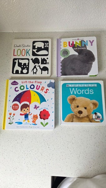 4x BABIES FIRST BOARD BOOKS Carousel 1