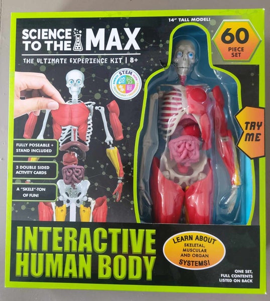 Interactive Human Body Science Kit Carousel 1