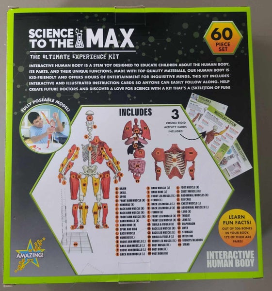Interactive Human Body Science Kit Carousel 2