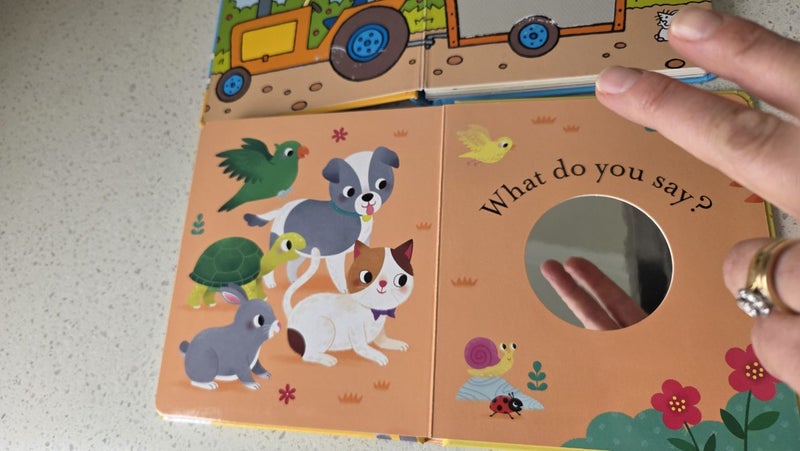 3x BABIES FIRST BOARD BOOKS - lift the flap / touch & feel etc Carousel 9