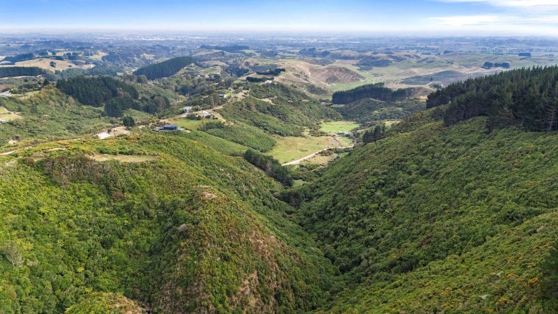 Image 1 of 13