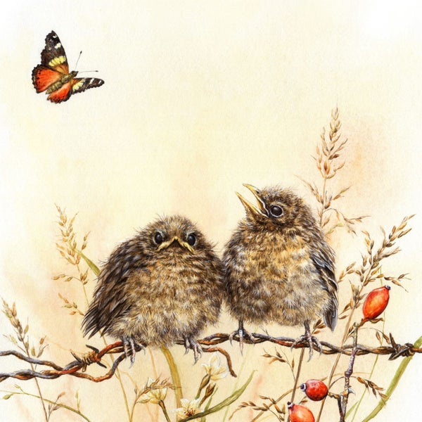 Baby Birds & Butterfly Print - Nursery Art (A4) Carousel 2
