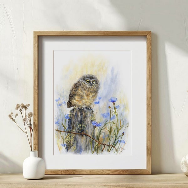 Morepork Owl Print - NZ Bird Wall Art Carousel 4