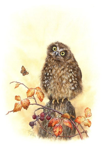 NZ Art Print - Ruru Owl Carousel 1