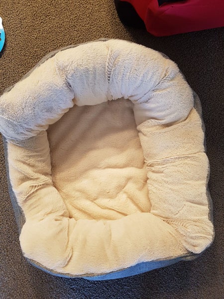 Puppy or small dog package. Carousel 6
