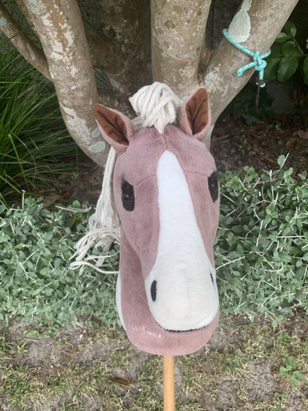 Hobby horse62866851592066111