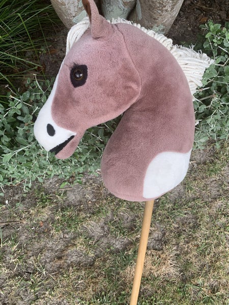 Hobby horse62866851592066113