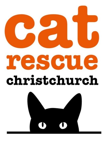 CAT RESCUE CHCH - Ready For Adoption Gabby Carousel 7