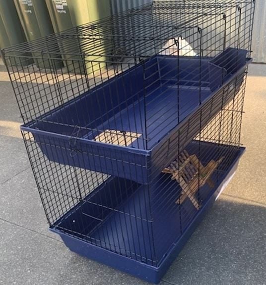 Rabbit Cage Carousel 1