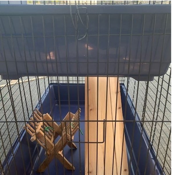 Rabbit Cage Carousel 6