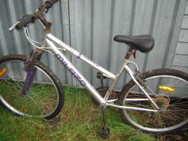 Mountain bike MILAZO Carousel 1