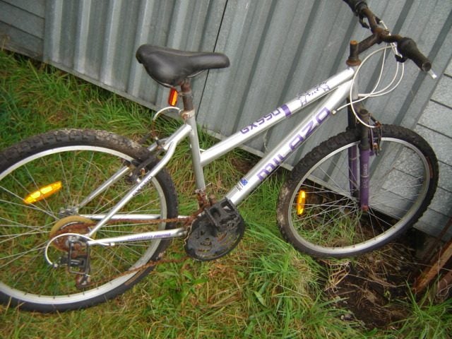 Mountain bike MILAZO Carousel 2