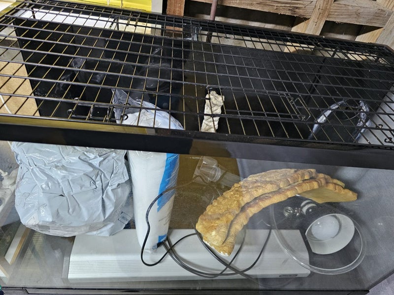 Turtle tank with inbuilt filter system and cabinet Carousel 2