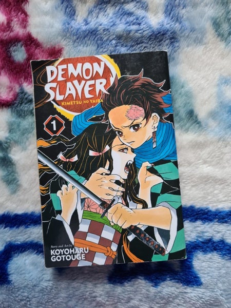Demon slayer 1 (anime) Carousel 1