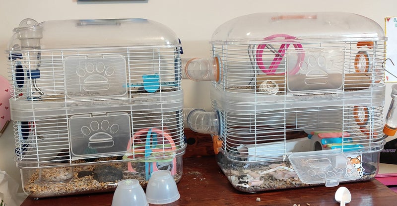 Pipsqueak Mouse cages Carousel 3