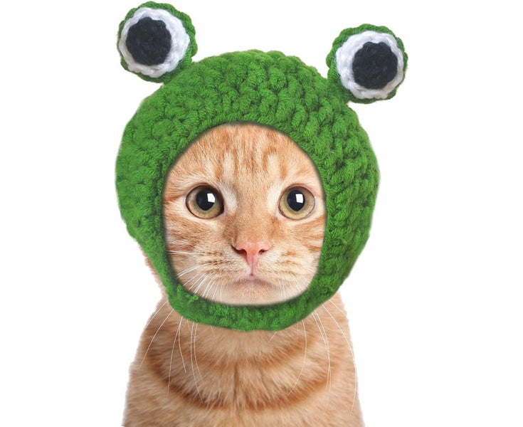 Pet Costume Hats Cat Dog Cute Frog Headband Hat Crochet Knitted Cap Big Eye Carousel 1