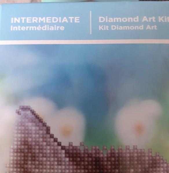Diamond art cat kit Carousel 2
