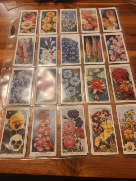 W.D & H.O. Wills - Garden Flowers - Complete Set Carousel 2