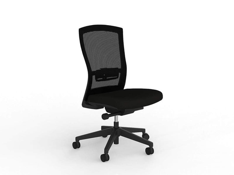 Knight's Solace Mesh Ergonomic Office Chair, Nylon Base, Assembled Carousel 1