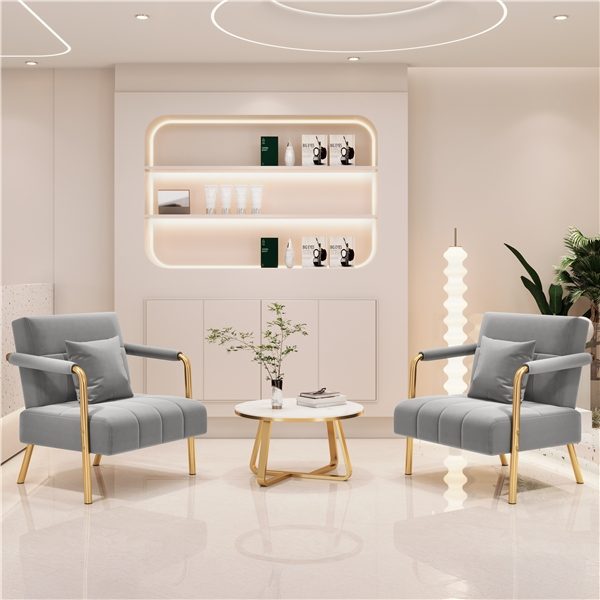 2pcs Velvet Armchair Lounge Chair Carousel 1