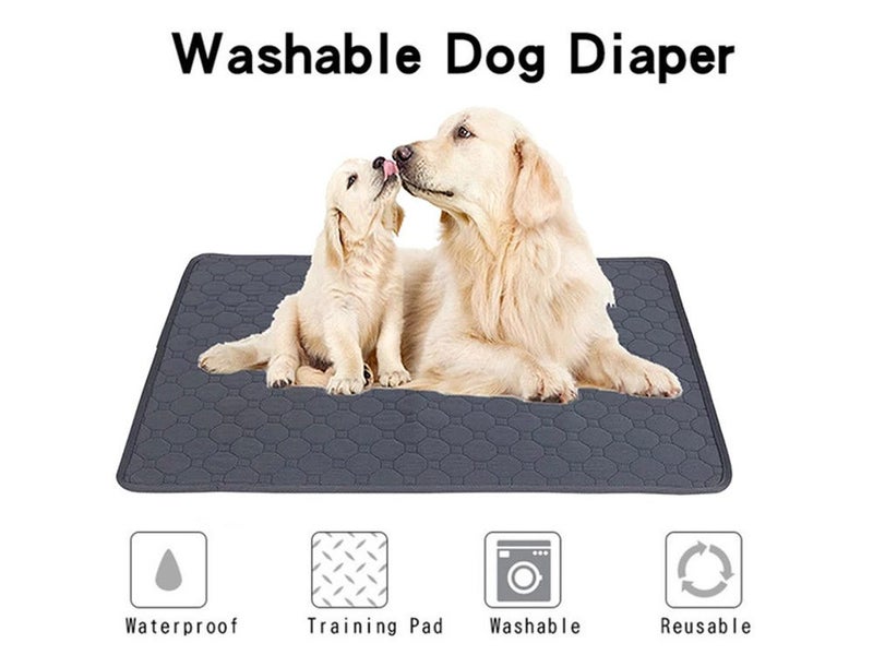 PTN NEW Dog Toilet Dog Pee Pad Sale Sale Carousel 17
