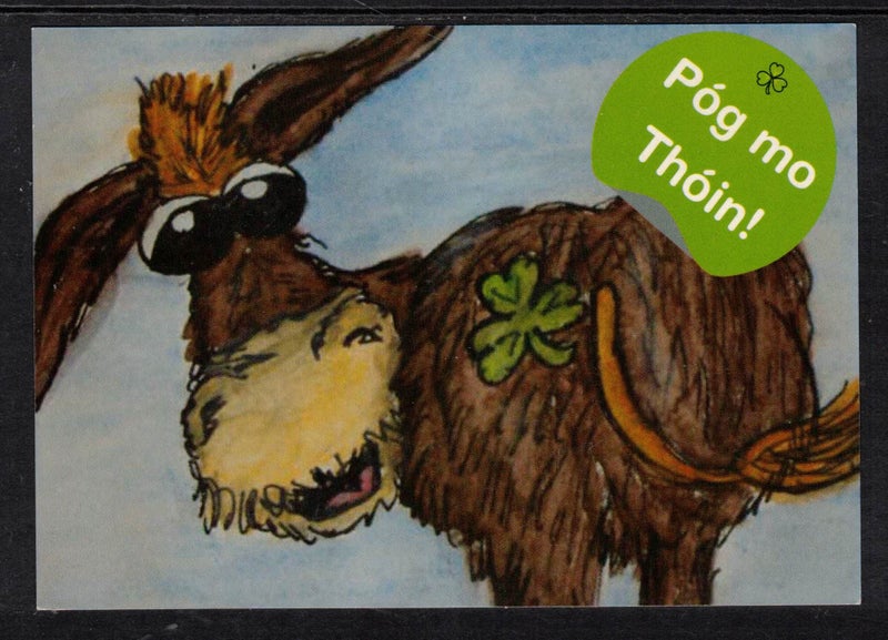 (z) Pog mo Thoin Ireland Postcard unused Carousel 1