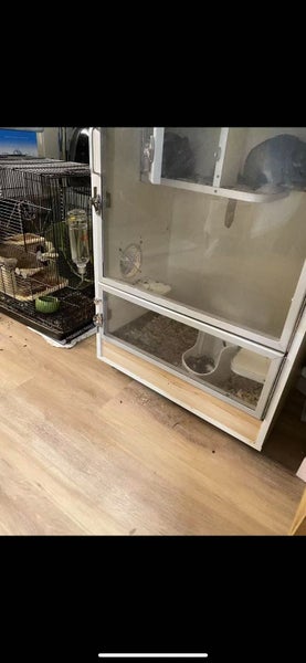 Chinchilla Carousel 1