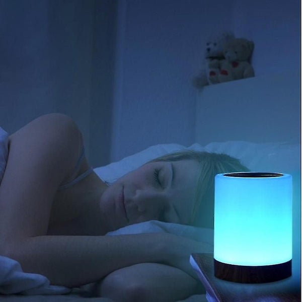 Touch Table Lamp, Dimmable Bedside Lamp With Warm White Light Carousel 2