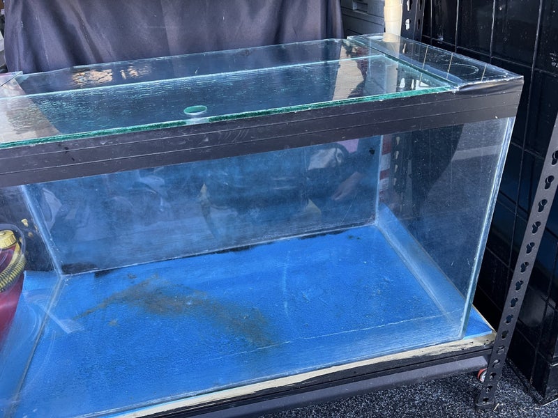 Fish Tank Carousel 3