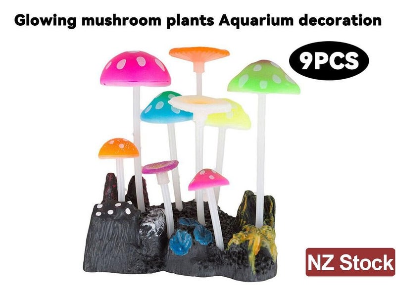 Fish Tank Ornament (Auckland Stock) Carousel 2